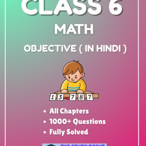 Class 6 Math Objective In Hindi